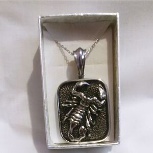 Scorpion Pendant 20 in Chain